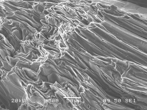 中鋼集團(tuán)鞍山熱能研究院有限公司